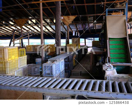 配送中心輸送機 125866438