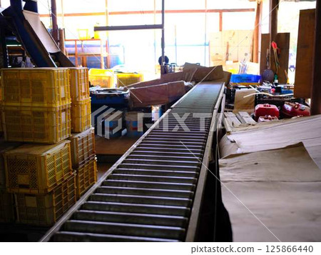 配送中心輸送機 125866440