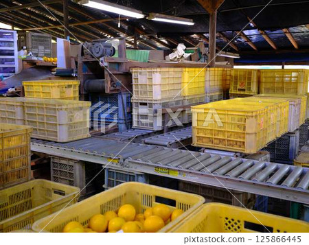 Distribution center conveyor Distribution center conveyor 125866445