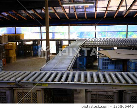 Distribution center conveyor 125866446