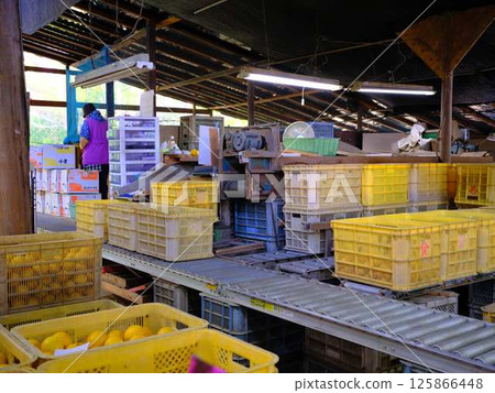 Distribution center conveyor Distribution center conveyor 125866448