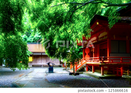 【香川】初夏的金刀比羅神社：雨中的白峰神社與新綠 125866616