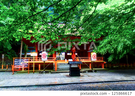 【香川】初夏的金刀比羅神社：雨中的白峰神社與新綠 125866617