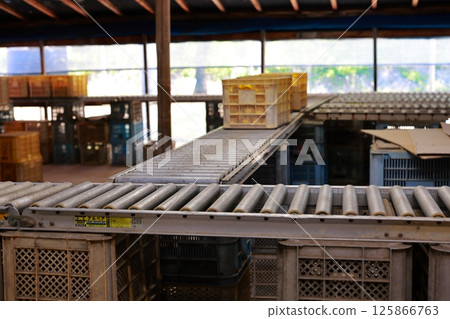 Distribution center conveyor 125866763