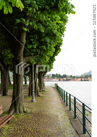 Tree-Shaded Bench Overlooking Scenic Lakeside View 125867021
