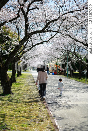 Lovers walking in a cherry blossom park 125867069