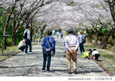 漫步在櫻花公園的戀人 125867074