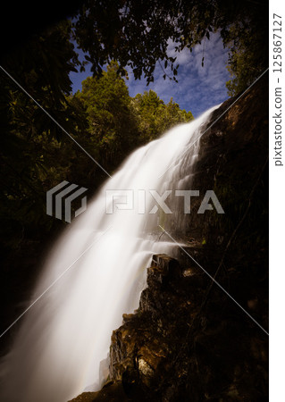 Fergusson Falls in Tasmania Australia Fergusson Falls in Tasmania Australia 125867127