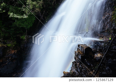 Fergusson Falls in Tasmania Australia Fergusson Falls in Tasmania Australia 125867129
