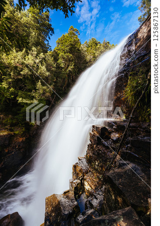 Fergusson Falls in Tasmania Australia Fergusson Falls in Tasmania Australia 125867130
