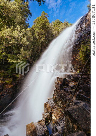 Fergusson Falls in Tasmania Australia Fergusson Falls in Tasmania Australia 125867131