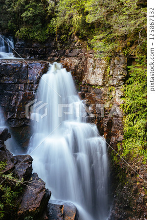 D'Alton Falls in Tasmania Australia D'Alton Falls in Tasmania Australia 125867132