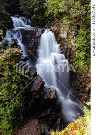 D'Alton Falls in Tasmania Australia D'Alton Falls in Tasmania Australia 125867148