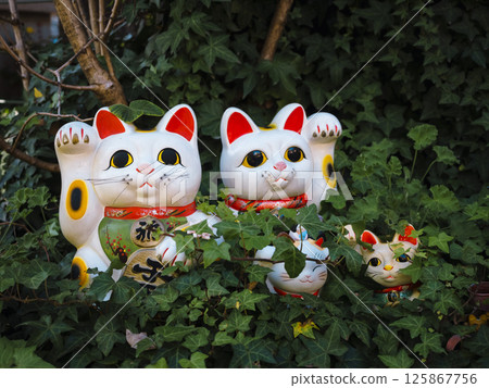 Maneki neko Lucky cat dolls in Temple garden Japan Art and culture Maneki neko Lucky cat dolls in Temple garden Japan Art and culture 125867756