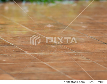 Gentle Rain falls on the brown tile floor. 125867908