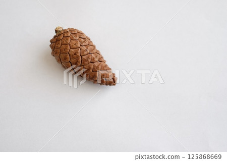 Closed pine cone 125868669