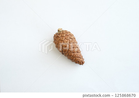 Closed pine cone Closed pine cone 125868670