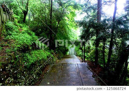 [Kagawa] Kotohira Shrine in early summer: Looking back at the stone steps to the inner shrine from a high vantage point 125868724