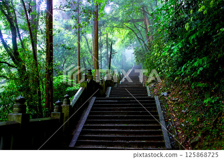 [Kagawa] Kotohira Shrine in early summer: Stone steps to the inner shrine wet with rain 125868725