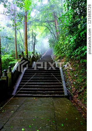 [Kagawa] Kotohira Shrine in early summer: Stone steps to the inner shrine wet with rain 125868726