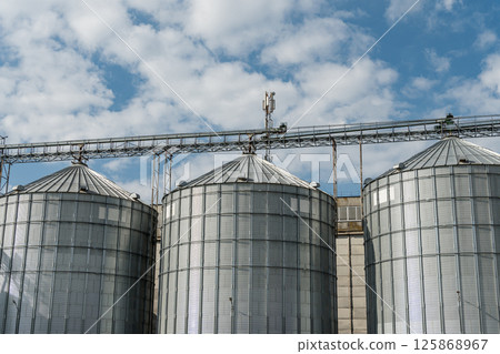 Grain storage silos rise prominently under a bright blue sky dotted with white clouds, showcasing a typical agricultural landscape 125868967