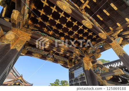 Karamon Gate and Ninomaru Palace of Nijo Castle, Kyoto (Nakagyo Ward, Kyoto City, Kyoto Prefecture) 125869188