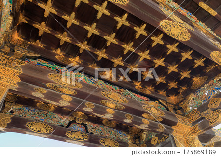 Karamon Gate of Nijo Castle, Kyoto (Nakagyo Ward, Kyoto City, Kyoto Prefecture) 125869189