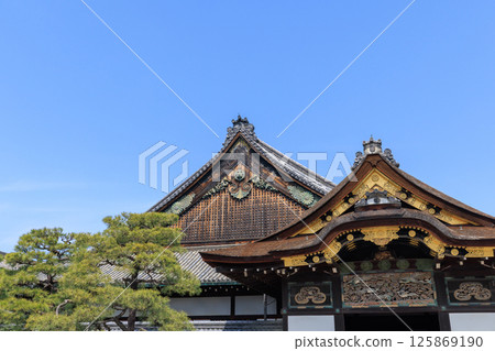 Ninomaru Palace of Nijo Castle, Kyoto (Nakagyo Ward, Kyoto City, Kyoto Prefecture) Ninomaru Palace of Nijo Castle, Kyoto (Nakagyo Ward, Kyoto City, Kyoto Prefecture) 125869190