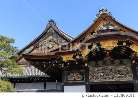 京都二條城二之丸禦殿(京都府京都市中京區) 京都二條城二之丸禦殿(京都府京都市中京區) 125869191