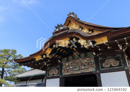 Ninomaru Palace of Nijo Castle, Kyoto (Nakagyo Ward, Kyoto City, Kyoto Prefecture) 125869192