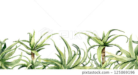 Watercolor aloe vera plants border with green tropical succulents on white background Watercolor aloe vera plants border with green tropical succulents on white background 125869196