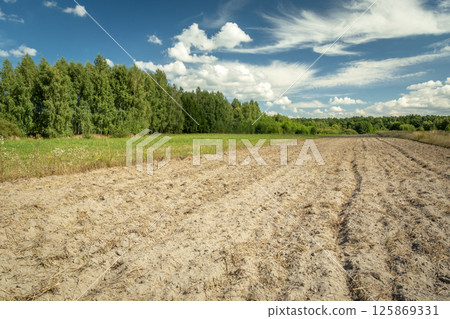 Plowed rural field in front of green forest and white clouds on blue sky 125869331