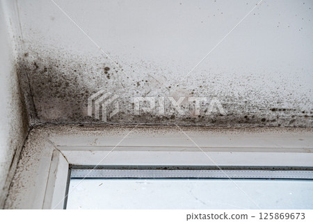 Slope near the window fungus moisture. Slope near the window fungus moisture. 125869673