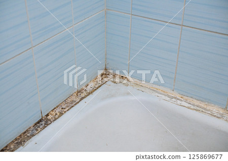 Black mold and fungus on tiles in a bathroom. Black mold and fungus on tiles in a bathroom. 125869677