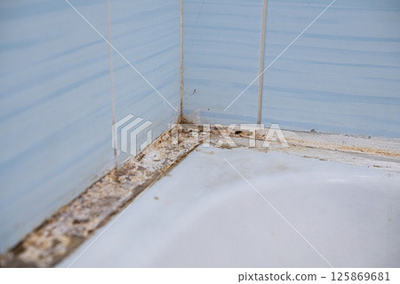 Toxic mold in the bathroom. Moisture problem 125869681