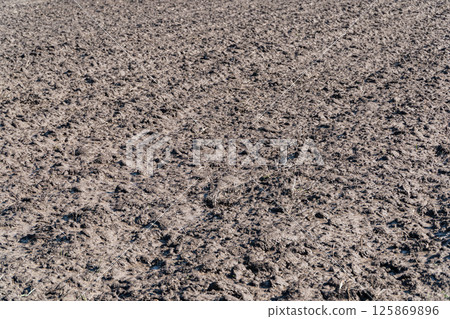 Agricultural plowed field, soil texture. Field after winter. View of the land prepared for planting and growing crops Agricultural plowed field, soil texture. Field after winter. View of the land prepared for planting and growing crops 125869896