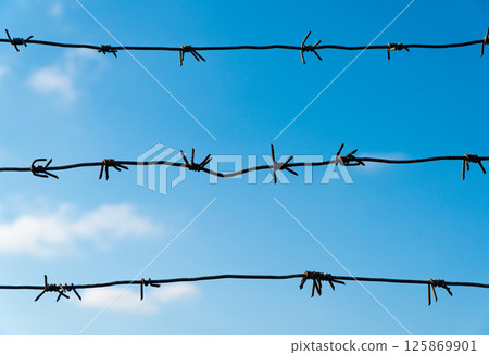 Barbed wire mesh and blue sky. Concept of prison, freedom, barrier 125869901