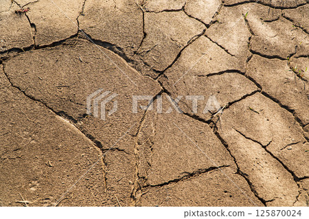 Dry and cracked land. Climate change and drought impact. Dry cracked soil texture and background 125870024