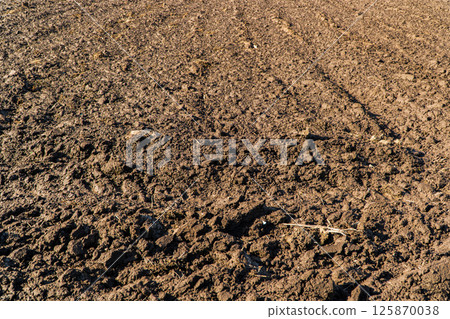 Agricultural plowed field. Concept of spring agriculture. Soil close up Agricultural plowed field. Concept of spring agriculture. Soil close up 125870038