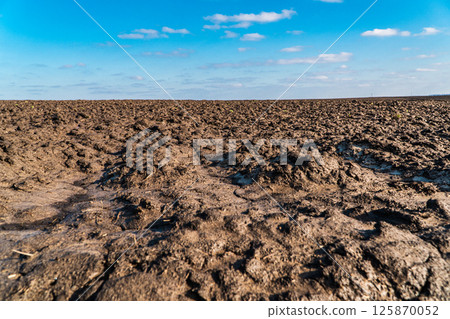 Agricultural field in early spring. Field and blue sky with clouds. Concept of spring agriculture. Agricultural process Agricultural field in early spring. Field and blue sky with clouds. Concept of spring agriculture. Agricultural process 125870052