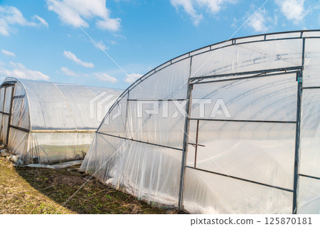 Polythene tunnel greenhouse for growing vegetables 125870181