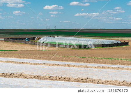 A large greenhouse in the field is enclosed by a wooden fence. 125870270