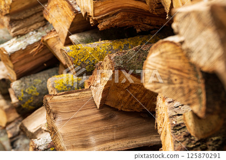 Firewood closeup. Stacking firewood. Preparation of firewood for the winter 125870291