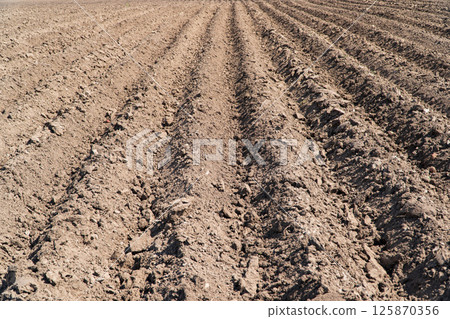 A beautifully plowed field. A plowed field in spring A beautifully plowed field. A plowed field in spring 125870356