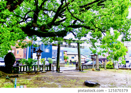 【香川】初夏參拜金刀比羅神社:雨中的北神社庭院與鳥居 【香川】初夏參拜金刀比羅神社:雨中的北神社庭院與鳥居 125870379
