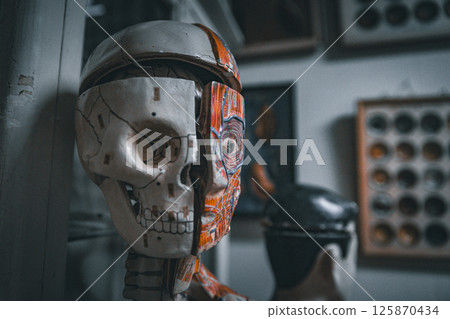 科學實驗室中的人體模型 科學實驗室中的人體模型 125870434