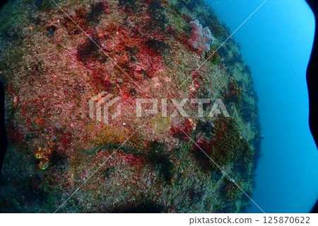 Seascape scenery 125870622