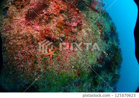 Seascape scenery 125870623