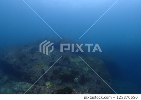 海景風光 海景風光 125870650