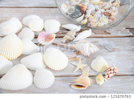 Shells lined up on a wooden deck 125870763